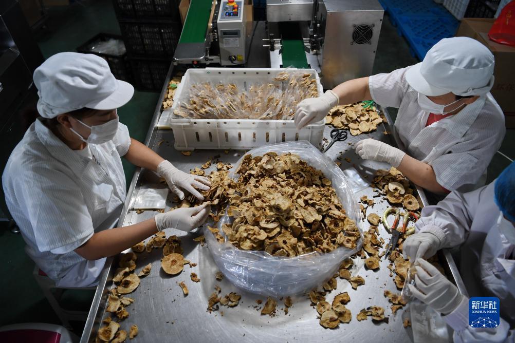 十大正规的赌网